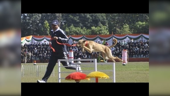 In a first, Uttarakhand Police train street dogs to recruit them in dog squad; strays outperform expensive breeds