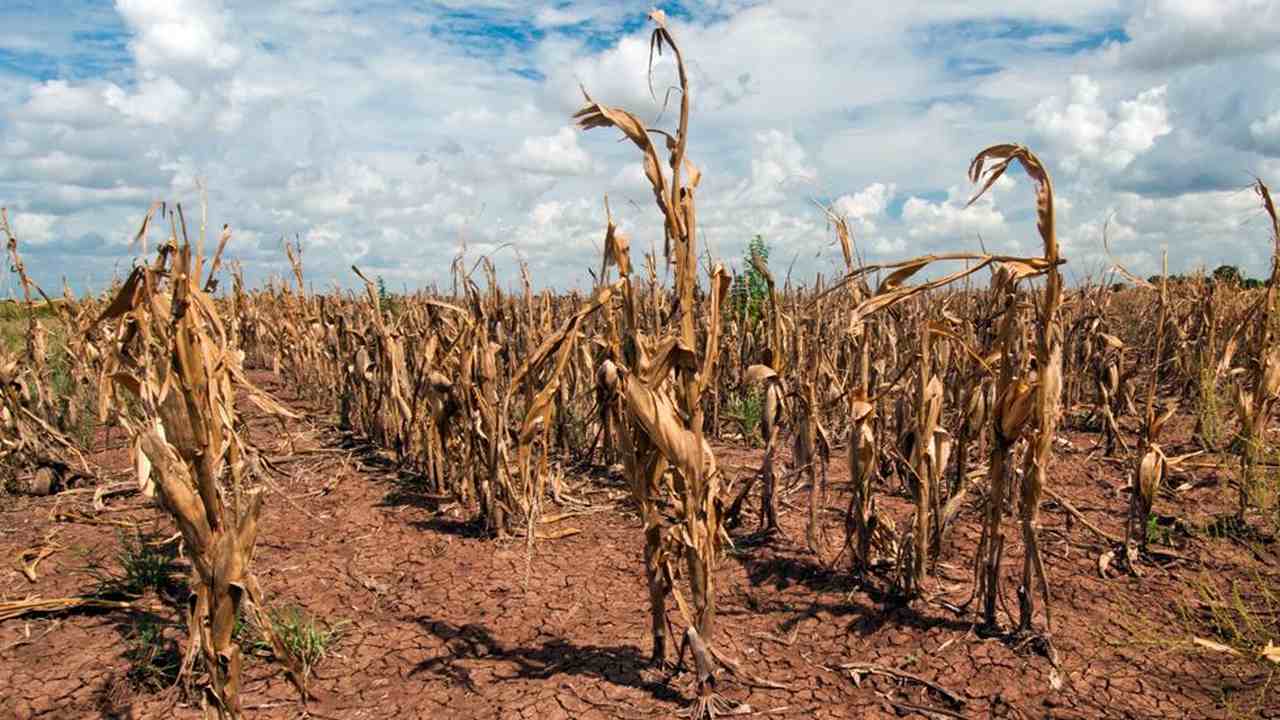World Day to Combat Desertification and Drought 2022: Find theme, history and significance here World Day to Combat Desertification and Drought 2022: Find theme, history and significance here