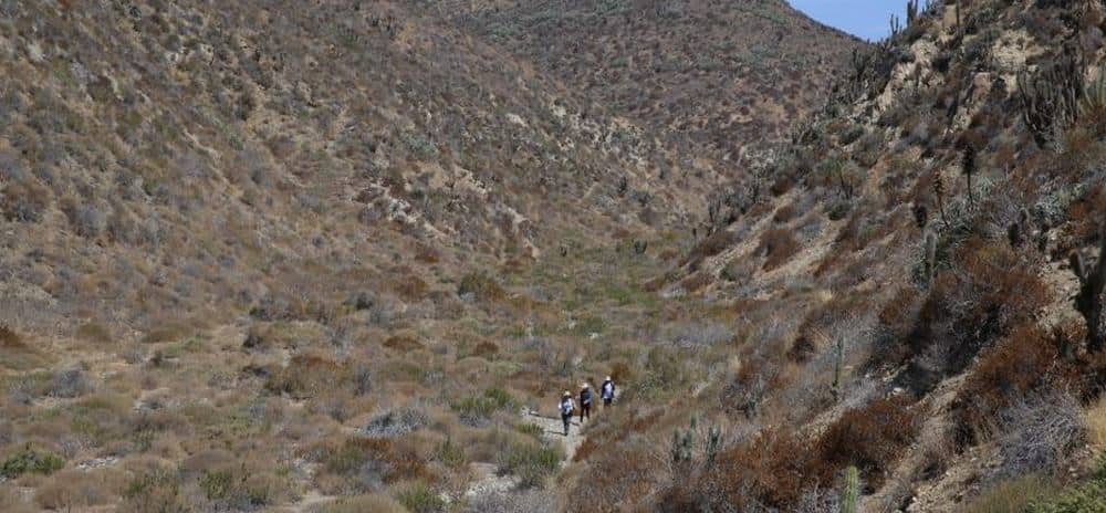 The seed collectors that went on this mission, walking through a valley, during their journey. Image credit: Crop trust