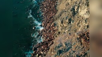Greenwashing? Why wildlife television is finally engaging with the climate emergency