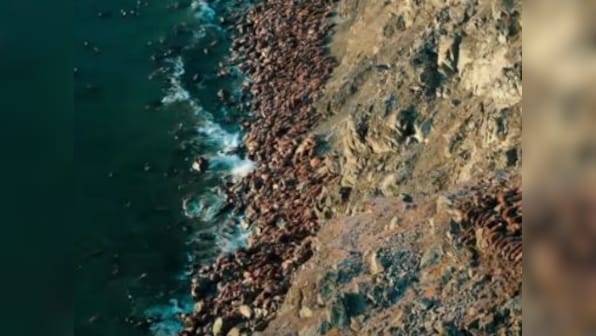 Greenwashing? Why wildlife television is finally engaging with the climate emergency