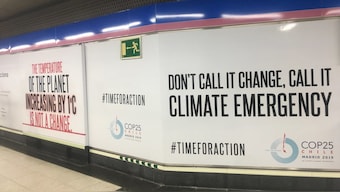 COP25 'lost opportunity' as it ends with no deal, no targets to cut greenhouse gases