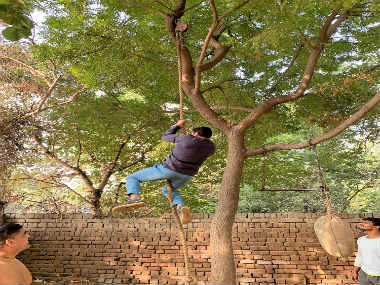 The diet and fitness routine of India’s pehelwans The diet and fitness routine of India’s pehelwans