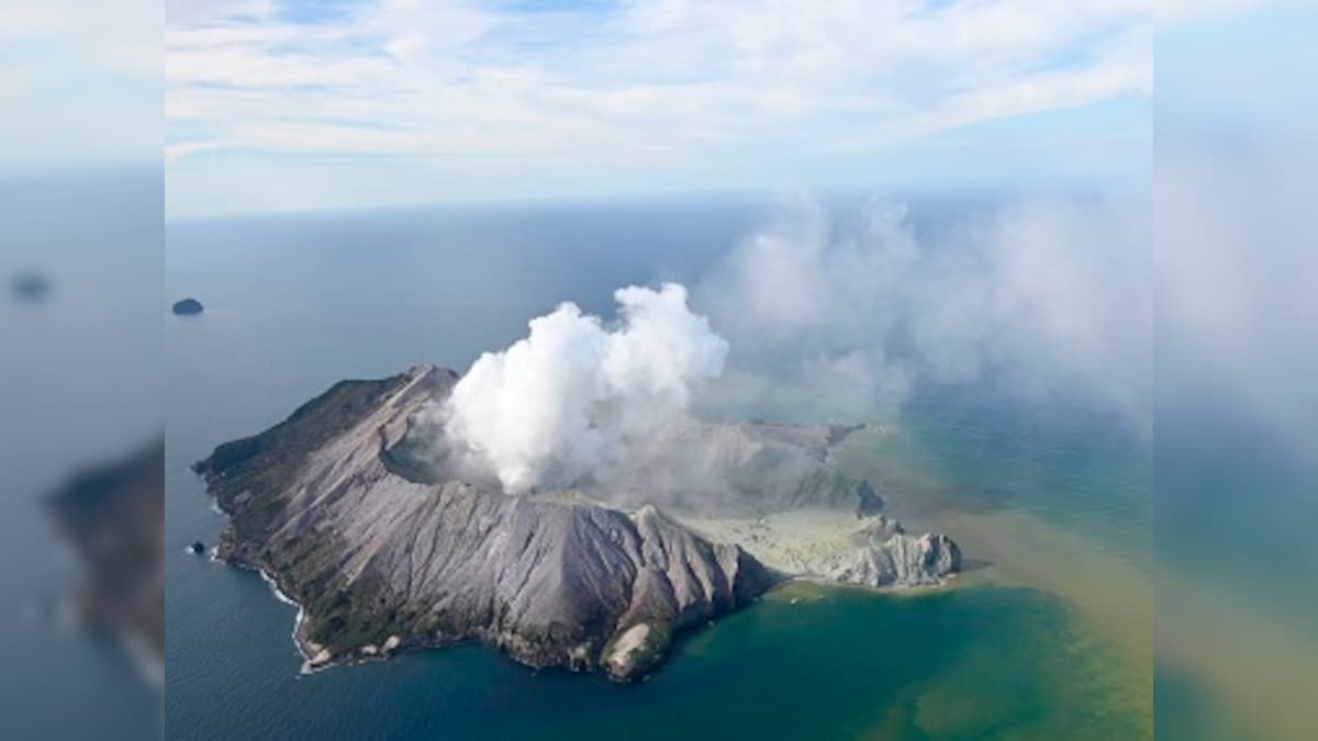 Five dead, 8 missing after volcano eruption off New Zealand coast leaves 'no signs of life' on White Island