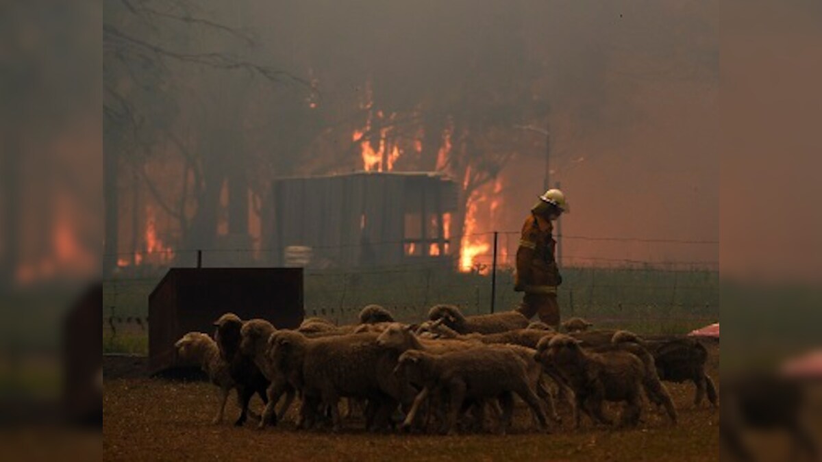 Australia bushfires: New Year’s Eve fireworks in Canberra cancelled; conditions expected to worsen in New South Wales on 31 Dec