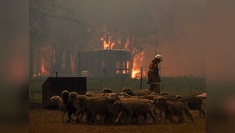 Australia bushfires: New Year’s Eve fireworks in Canberra cancelled; conditions expected to worsen in New South Wales on 31 Dec