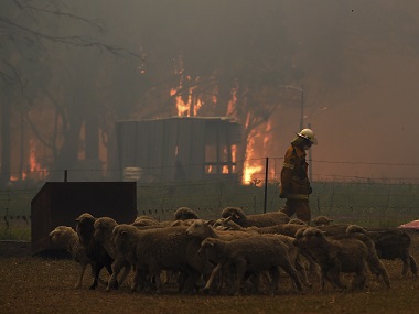 Australia bushfires: Cooler weather brings relief, but 64 of 150 fires remain uncontrolled; 24 dead, 2,000 homes destroyed Australia bushfires: Cooler weather brings relief, but 64 of 150 fires remain uncontrolled; 24 dead, 2,000 homes destroyed
