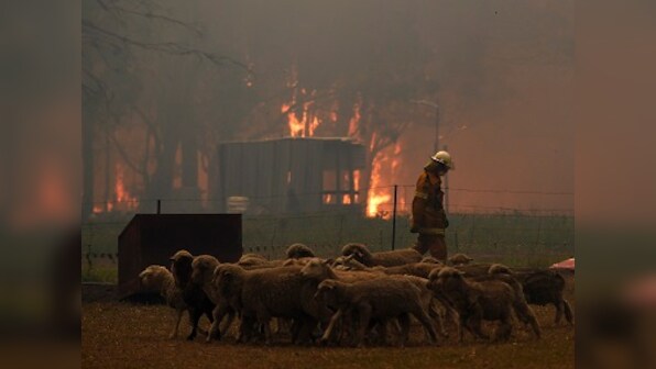 Australia bushfires: New Year’s Eve fireworks in Canberra cancelled; conditions expected to worsen in New South Wales on 31 Dec