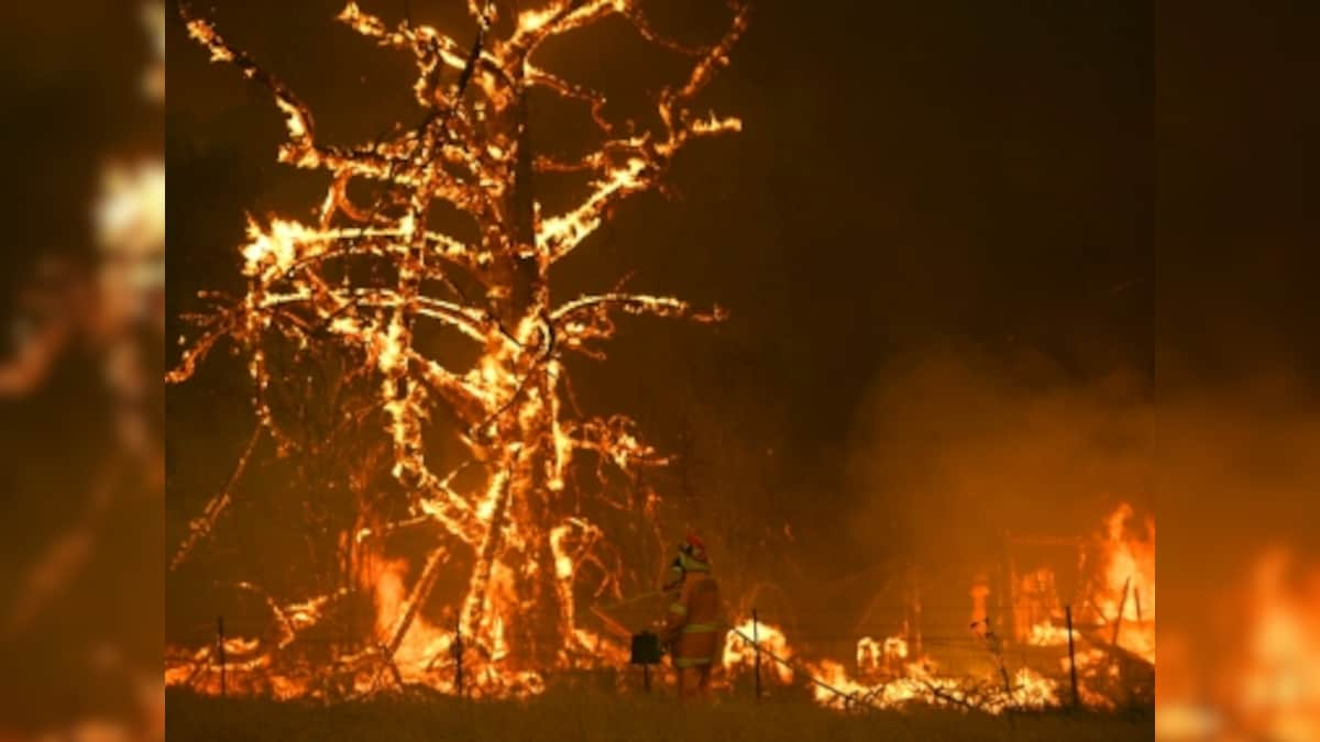 'Millions of sparks': Bushfires raging across Australia prompt govt to conduct evacuations as authorities predict blaze may worsen with strong winds