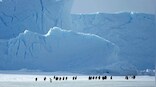 Biggest-ever Arctic science mission ends after a year drifting along with frozen sea ice