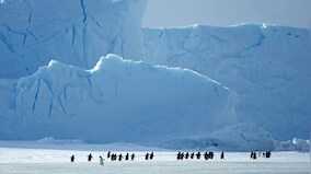 Biggest-ever Arctic science mission ends after a year drifting along with frozen sea ice