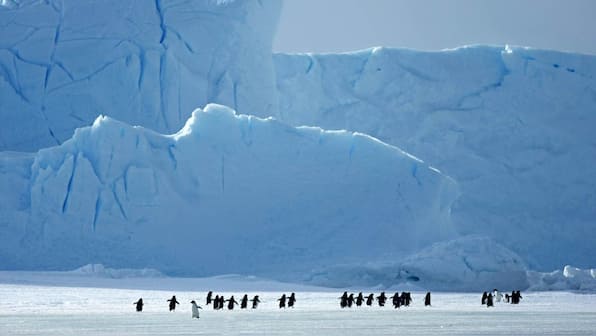 Biggest-ever Arctic science mission ends after a year drifting along with frozen sea ice