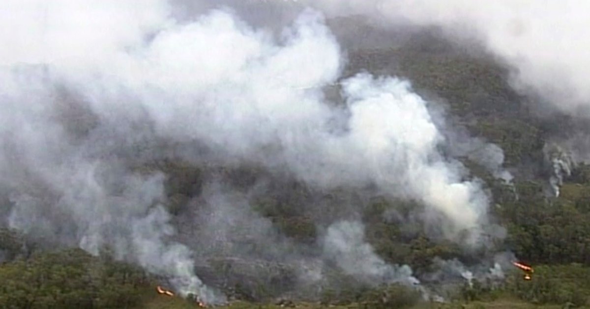 Burning forests in Australia has permanently altered the landscape of the country Burning forests in Australia has permanently altered the landscape of the country