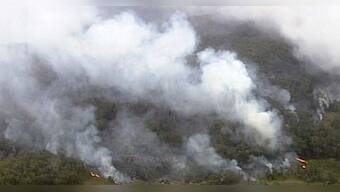 Burning forests in Australia has permanently altered the landscape of the country
