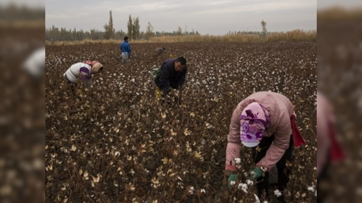 Inside China’s push to turn Xinjiang's Muslim minorities into an army of workers