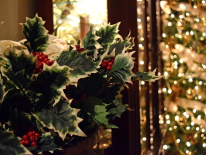 The Stories In My Life: In A Christmas Letter, Rosie Jackson subverts stereotypes with a tale of flawed, fallible lives