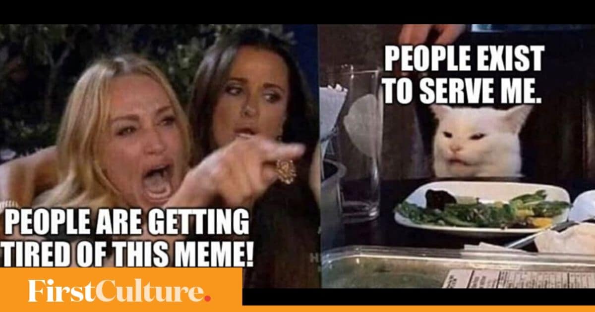 How Memes Gained Cultural Currency Driving Socio Political Discourse In The Digital Era Living News Firstpost