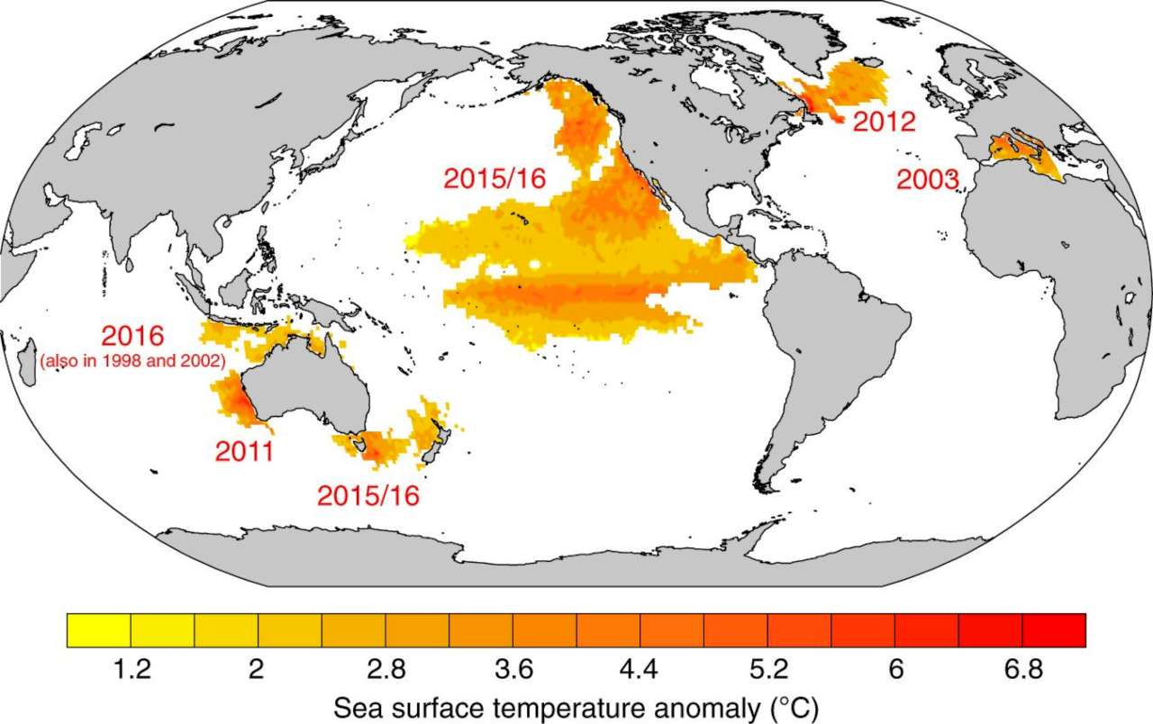 The emerging risks from marine heat waves on a world map. Image: Springer/Nature