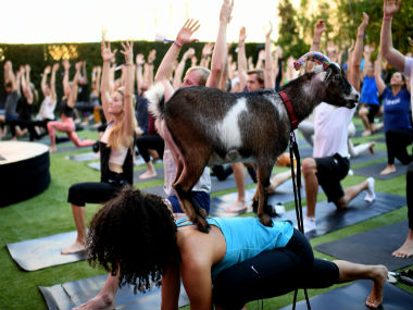 Top 10 weirdest wellness trends of the last 10 years Top 10 weirdest wellness trends of the last 10 years