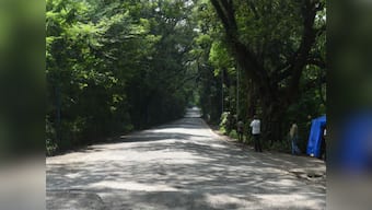 The greener your city, the longer you live: Lancet study