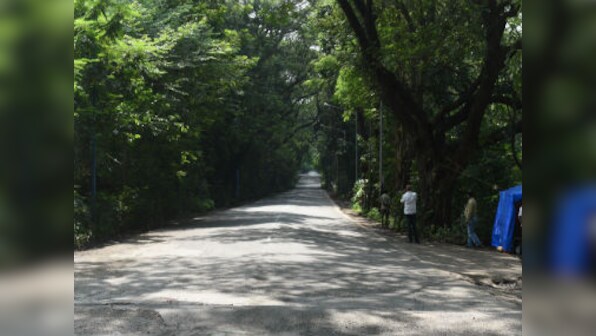 The greener your city, the longer you live: Lancet study
