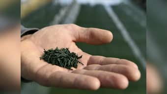 Health benefits of spirulina and other nutritional algae