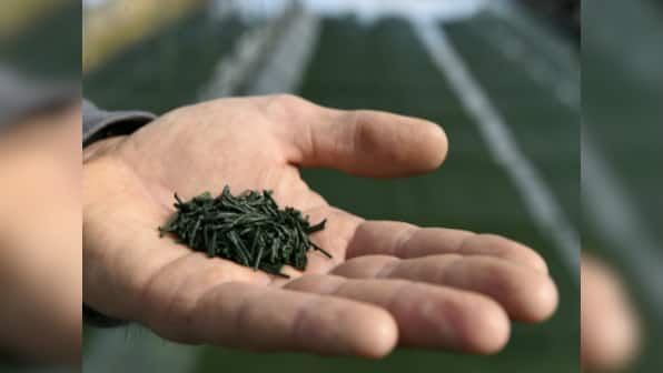 Health benefits of spirulina and other nutritional algae