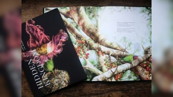 Of sundews, strangler fig and elephant foot yam: Nirupa Rao's Hidden Kingdom is an ode to flora of Western Ghats