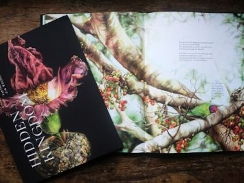 Of sundews, strangler fig and elephant foot yam: Nirupa Rao's Hidden Kingdom is an ode to flora of Western Ghats Of sundews, strangler fig and elephant foot yam: Nirupa Rao's Hidden Kingdom is an ode to flora of Western Ghats