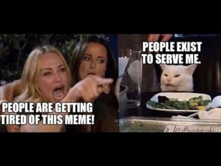 How memes gained cultural currency, driving socio-political discourse in the digital era
