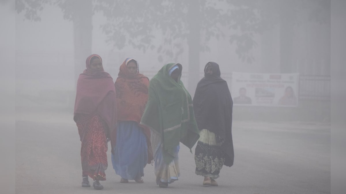 Delhi sees season's first fog; partly cloudy weather predicted