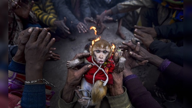 Firstpost