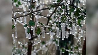 IMD issues red warning in Delhi, five states for today; two dead in Haryana car pile-up as cold wave grips north India