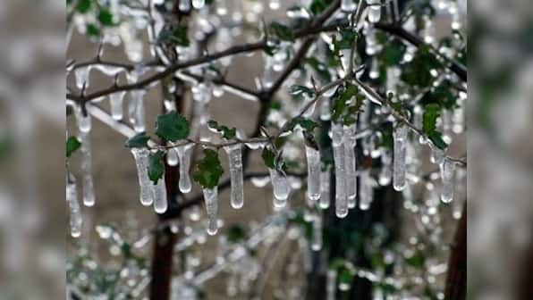 IMD issues red warning in Delhi, five states for today; two dead in Haryana car pile-up as cold wave grips north India