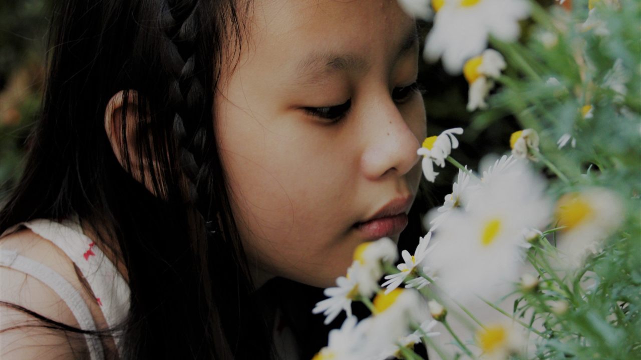 Five quick and simple ways you can improve your sense of smell Five quick and simple ways you can improve your sense of smell