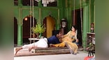 Ishaan Khatter reveals first look of Mira Nair's BBC series A Suitable Boy, shares a leisurely moment with Tabu