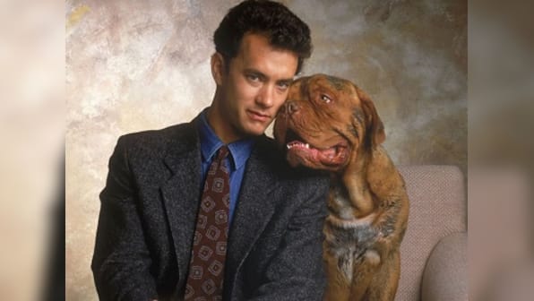 Turner & Hooch, Tom Hanks' 1989 buddy cop film, to possibly get a TV series reboot at Disney+