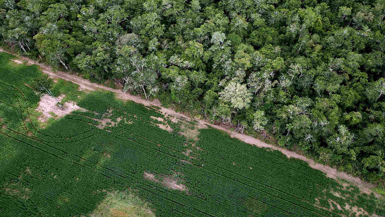 Soy and Chaco forest in Bolivia. Photo by Rhett A. Butler