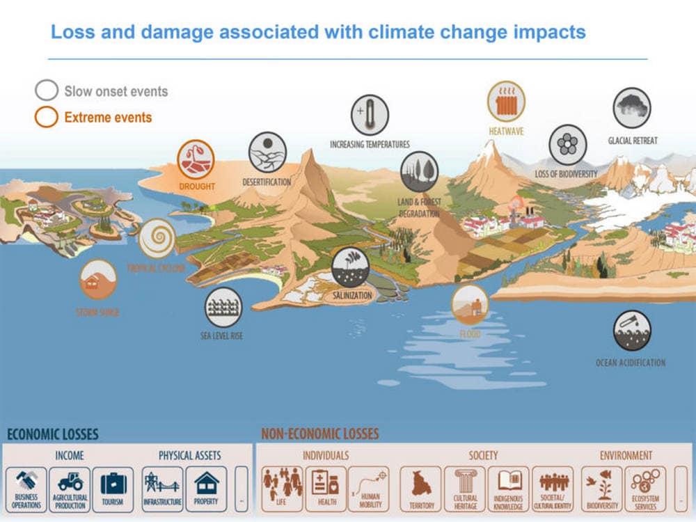 Climate change impacts include economic losses as well as non-economic impacts such as on human mobility. Image credit: UNFCCC.