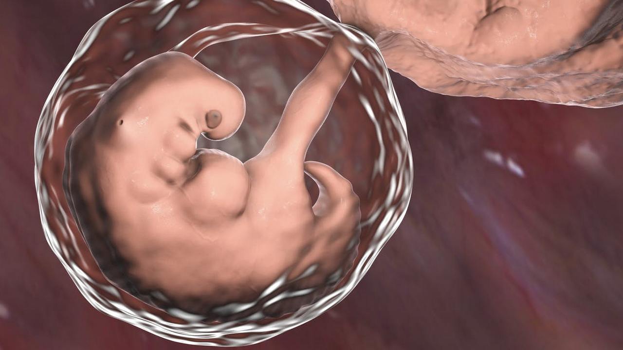 China's failed gene-edited baby experiment proves we're not ready for human embryo modification China's failed gene-edited baby experiment proves we're not ready for human embryo modification