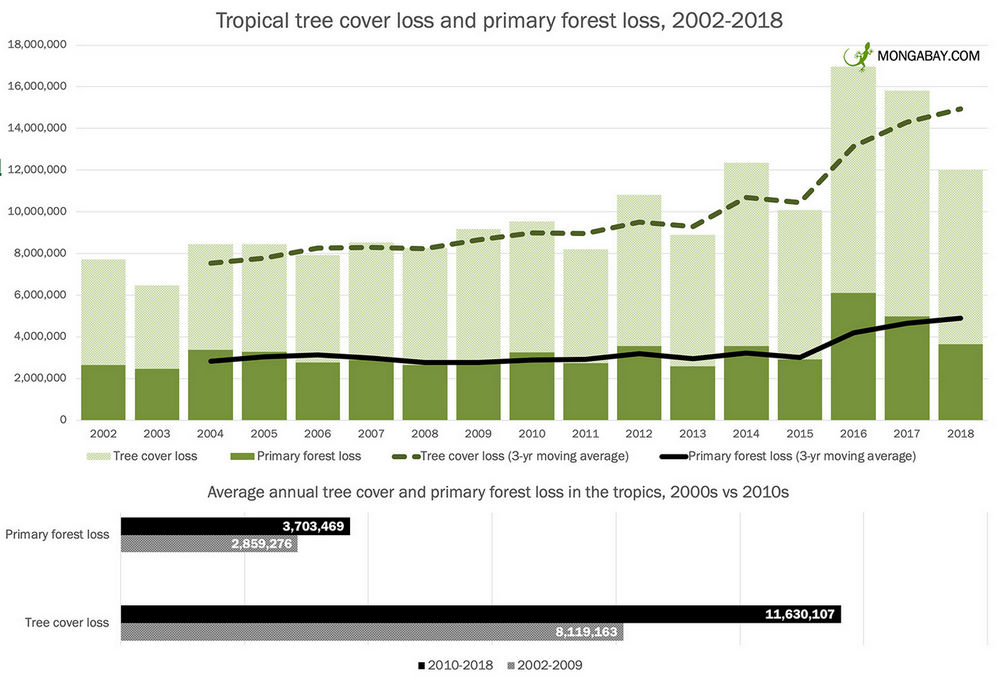 Nature And Forests Through 19 The Year Of Uncontrollable Rain Forests Fires All Over The World Technology News Firstpost