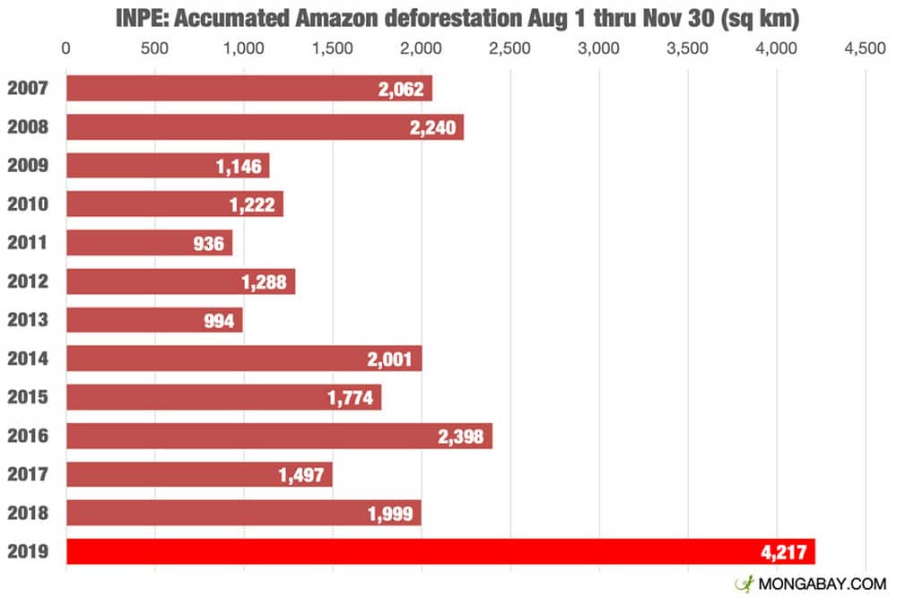 Accumulated Amazon deforestation from 1 August to 30 November. 