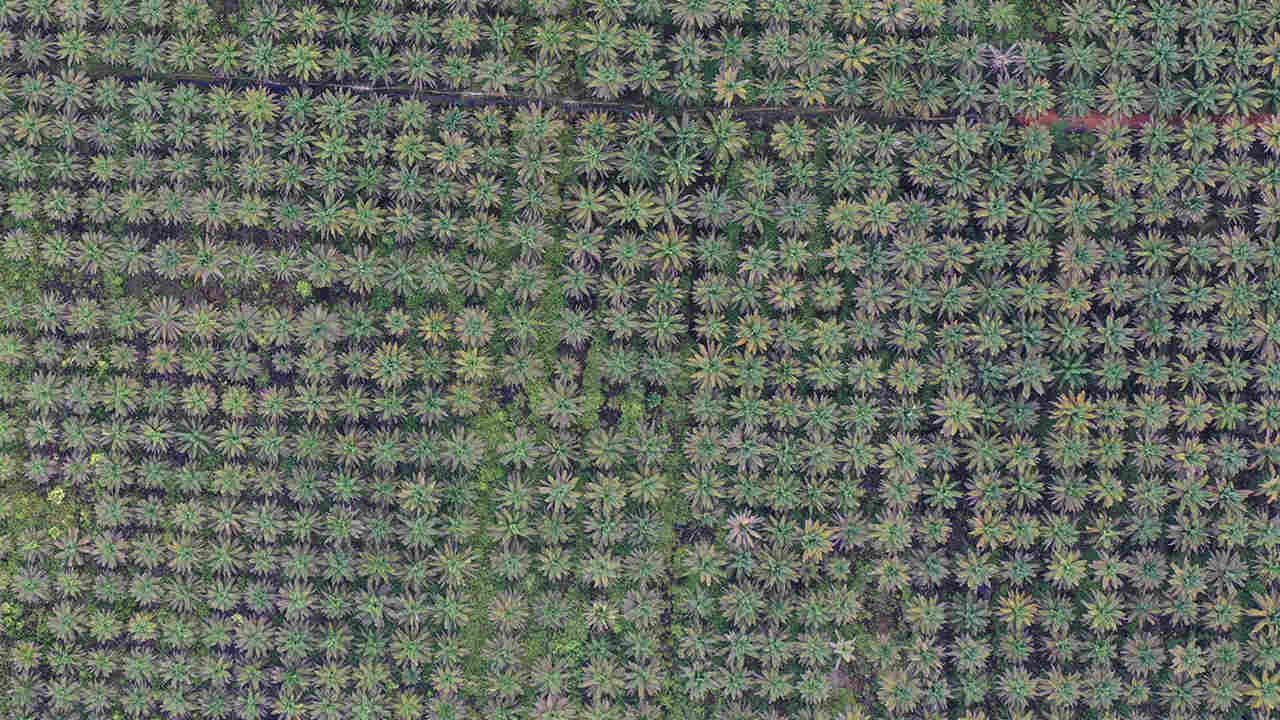 kalbar_drone_190284