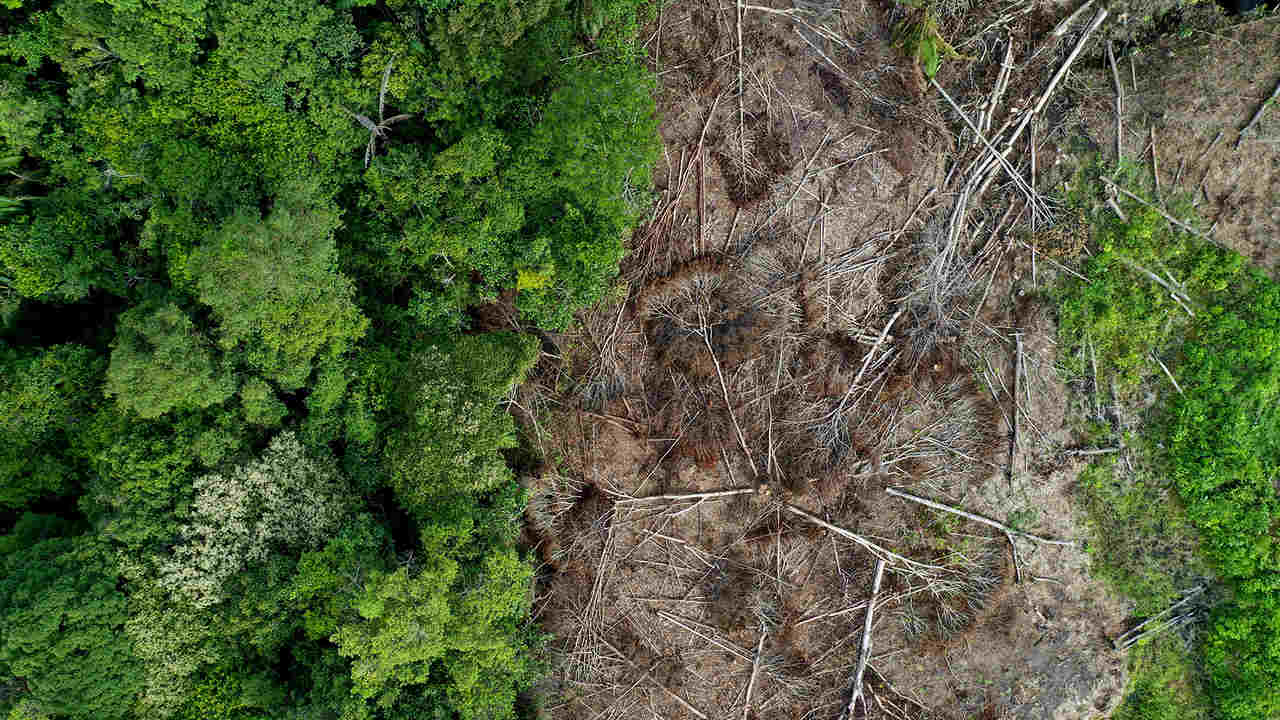Deforestation in Kapuas Hulu, Indonesian Borneo. Photo by Rhett A. Butler.