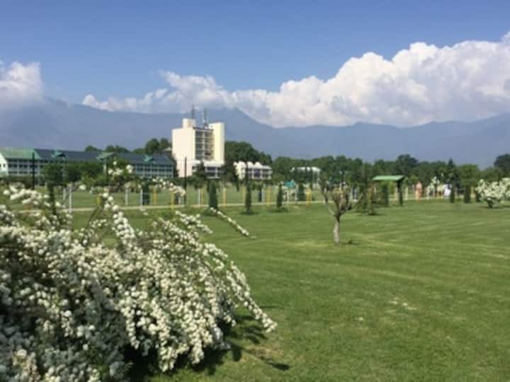 In Kashmir, internet shutdown cripples study of PhD students, research scholars; many lose out on grants, fellowships