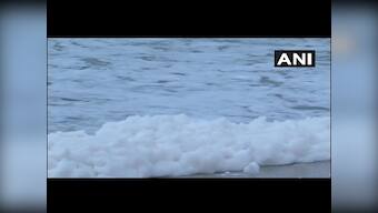 Chennai's Marina Beach froths with toxic foam: From crying foul to calling for an investigation, how Twitterati reacted