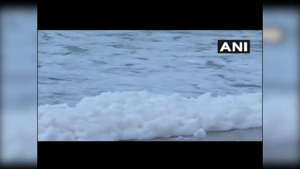 Chennai's Marina Beach froths with toxic foam: From crying foul to calling for an investigation, how Twitterati reacted