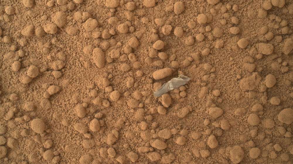 The butterfly cocoon found on Mars. Image credit: NASA