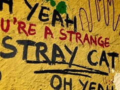 Stray Cat Blues To Ted Nugent S Jailbait A Compendium Of Popular Western Music S Most Problematic Songs Entertainment News Firstpost