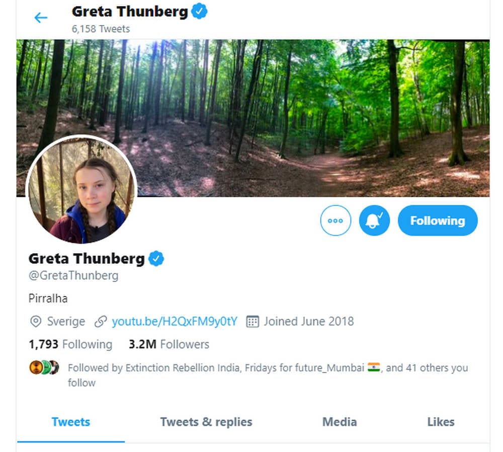 Greta Thunberg changed her Twitter bio to 'Pirralha' after the president called her a brat.